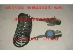 WG9718770052,ABS螺旋线束总成,济南变形金刚汽车配件有限公司