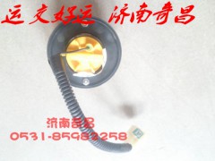 NZ9525790030,侧标志灯豪运,济南奇昌汽车配件有限公司