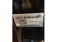 DZ95259532213,散热器,济南鼎立兴丞汽车配件有限公司