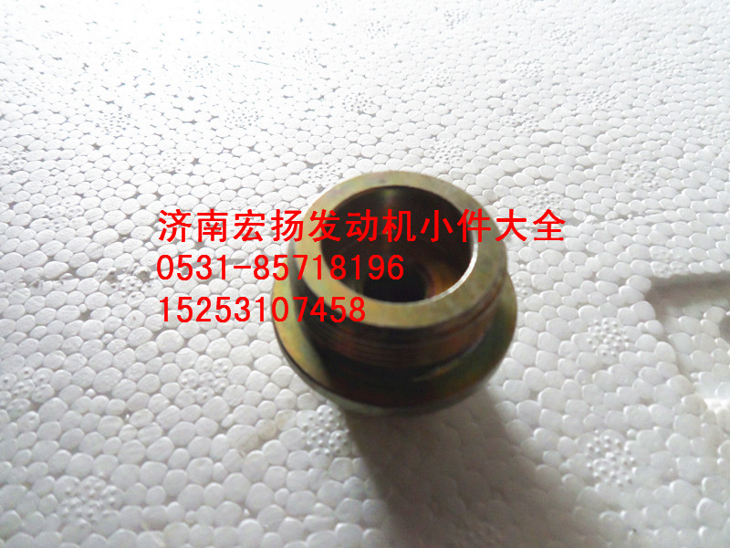 612600070160,WP10六角螺塞,济南耀顺汽车配件有限公司（重汽、潍柴发动机小件专卖）