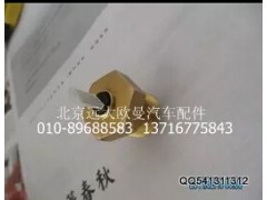 T75205027,发动机温度传感器,北京远大欧曼汽车配件有限公司
