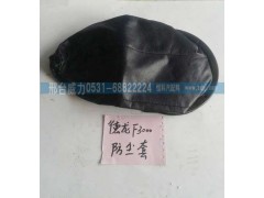 ,德龙F3000防尘套,邢台威力汽车零部件有限公司