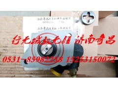 LG9704471145,转向泵 配重汽轻卡,济南奇昌汽车配件有限公司