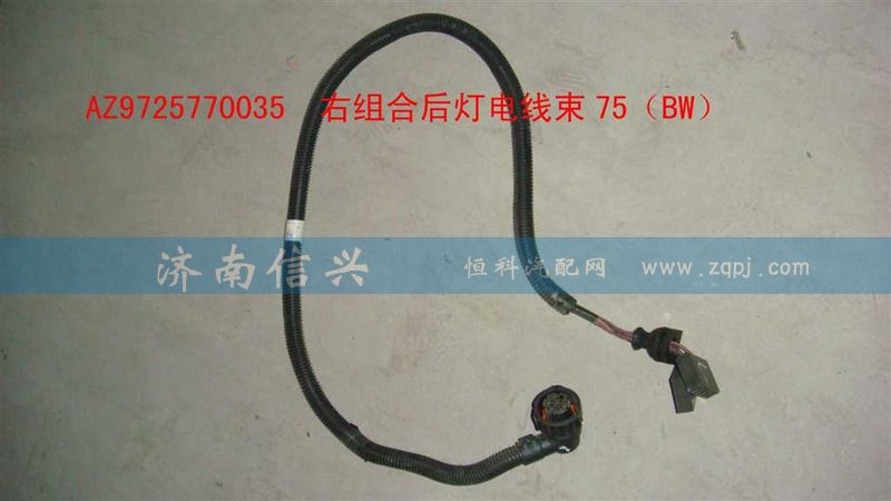 AZ9725770035,右组合后灯电线束75（BW）,济南信兴汽车配件贸易有限公司
