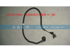 AZ9725770035,右组合后灯电线束75（BW）,济南信兴汽车配件贸易有限公司