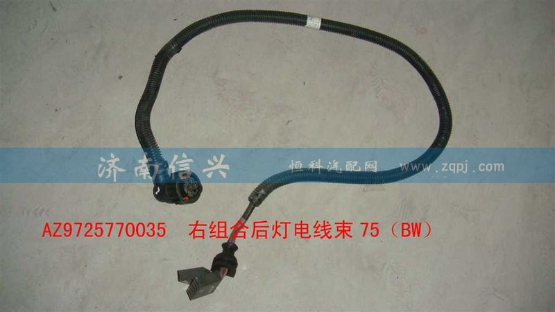 AZ9725770035,右组合后灯电线束75（BW）,济南信兴汽车配件贸易有限公司