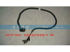 AZ9725770035,右组合后灯电线束75（BW）,济南信兴汽车配件贸易有限公司