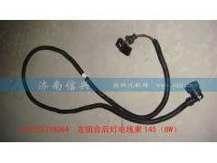 AZ9725770064,左组合后灯电线束140（BW）,济南信兴汽车配件贸易有限公司