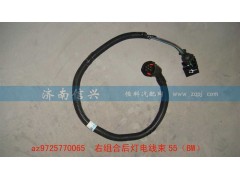 AZ9725770065,右组合后灯电线束50（BW）,济南信兴汽车配件贸易有限公司