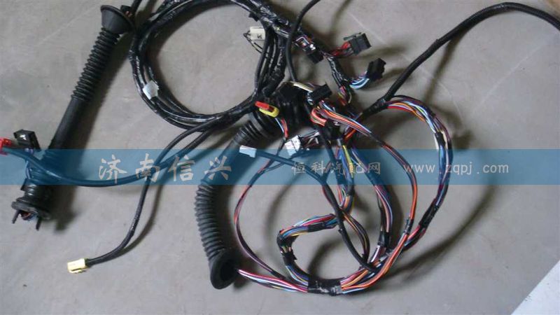 AZ9925770203,左车门电线束,济南信兴汽车配件贸易有限公司