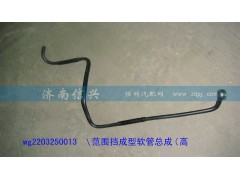 WG2203250012、WG2203250013,范围挡成型软管总成(低挡)（高档）,济南信兴汽车配件贸易有限公司