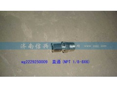 WG2229250009,直通(NPT 1、8-8X6),济南信兴汽车配件贸易有限公司
