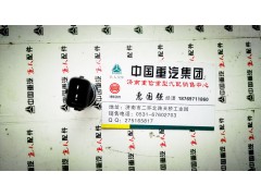 VG1500090061,水温传感器,济南翊旋商贸有限公司（原重信）