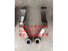 AZ9719413003,转向横拉杆臂(HW_09款左),济南东方重汽配件销售中心