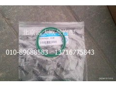 5037HB2000256,密封圈,北京远大欧曼汽车配件有限公司