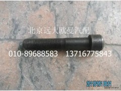 HFF2918115CKFT2BZ,平衡轴锁紧螺栓,北京远大欧曼汽车配件有限公司