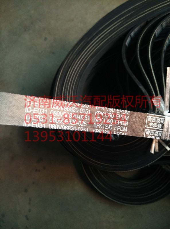 6PK1390/080V96820-0251
