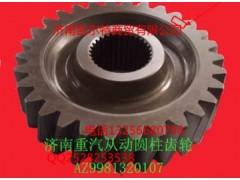 WG9981320107,从动圆柱齿轮,济南凯尔特商贸有限公司