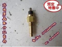 VG614090067J,STRW水温感应塞（大）,济南凯尔特商贸有限公司