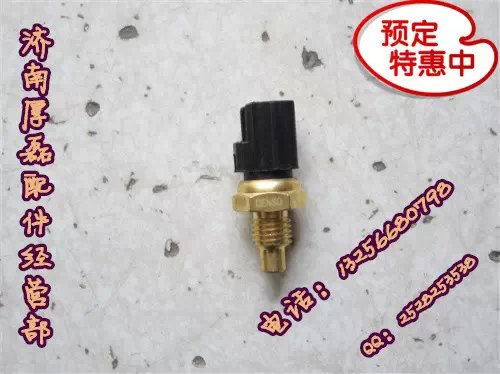 重汽豪沃金王子STR柴油温度传感器R61540090005/R61540090005