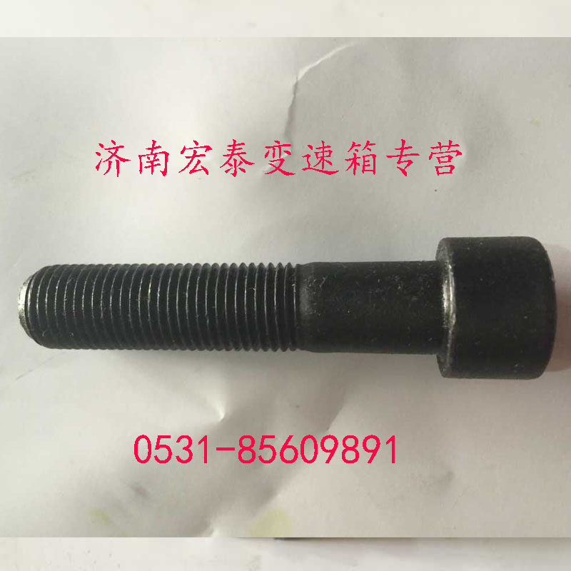 AZ9003821250,内六角圆柱头螺钉,济南宏泰变速箱专营店
