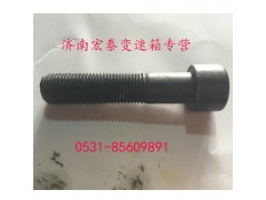 AZ9003821250,内六角圆柱头螺钉,济南宏泰变速箱专营店