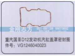 VG1246040023,重汽国三D12发动机气缸盖罩密封圈,济南金刚志方商贸有限公司