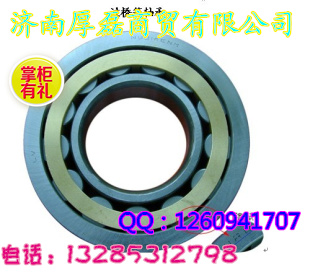 199014320257滚柱轴承/199014320257