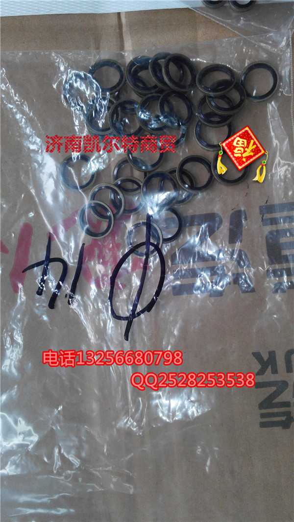 VG2600080200,金王子密封垫圈,济南凯尔特商贸有限公司