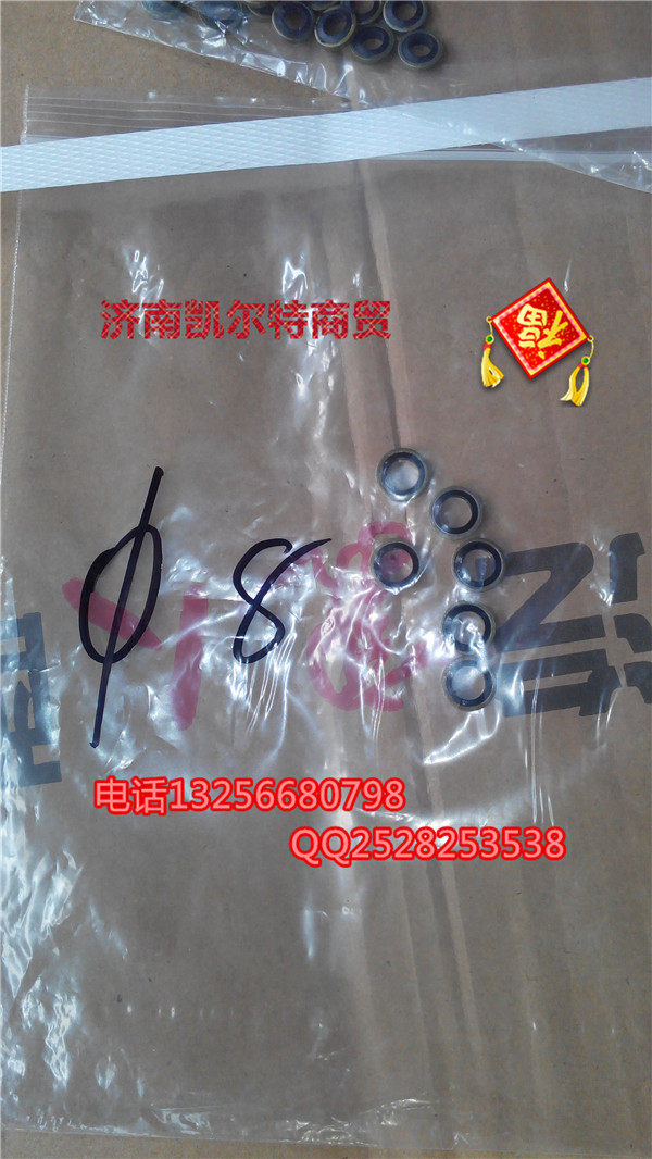 VG2600080201 密封垫圈/VG2600080201