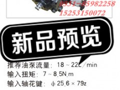 1324334001002,江苏罡阳 动力转向器,济南奇昌汽车配件有限公司