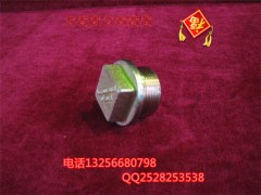 VG2600150108,磁性螺塞总成,济南凯尔特商贸有限公司