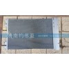 WG1664820116中小馬力發動機冷凝器總成