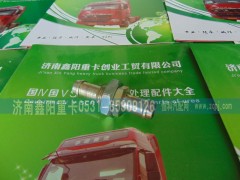 ,,济南鑫阳重卡创业工贸有限公司