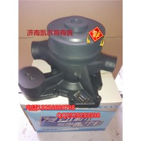 612600061296水泵总成