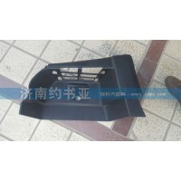 WG1664245010T5G右踏板