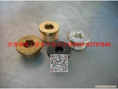 90003962050,内六角螺塞,济南瑞隆工贸重卡动力专营