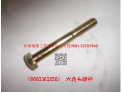 90003802561,,济南瑞隆工贸重卡动力专营