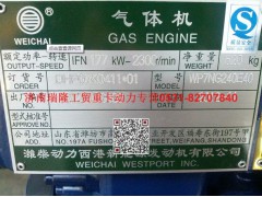 612600010193,铭牌,济南瑞隆工贸重卡动力专营