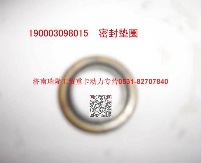 90003098015,密封垫圈,济南瑞隆工贸重卡动力专营