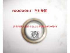 90003098015,密封垫圈,济南瑞隆工贸重卡动力专营