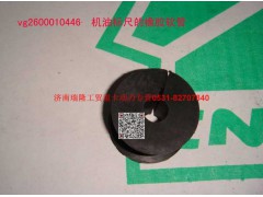 612600010446,机油标尺橡胶软管,济南瑞隆工贸重卡动力专营