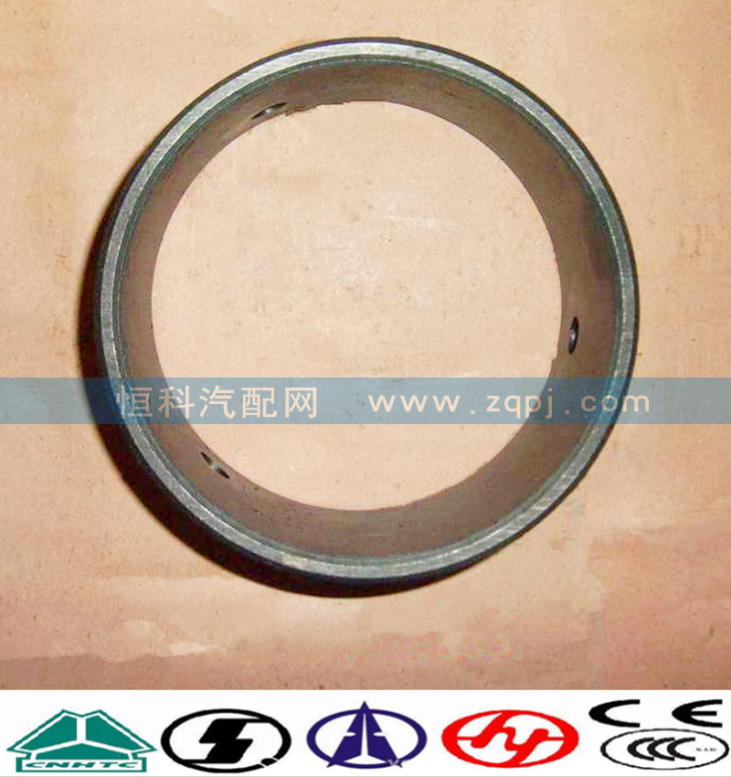 AZ9725520238,平衡轴衬套（07）,济南嘉磊汽车配件有限公司(原济南瑞翔)
