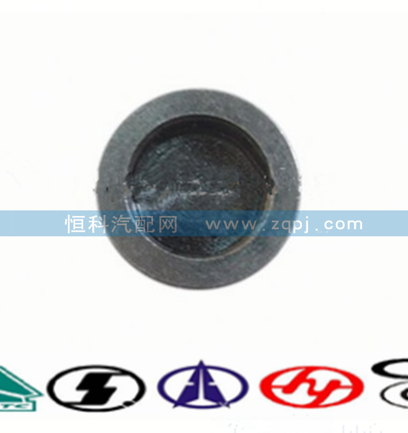 VG1500050105,气门帽,济南嘉磊汽车配件有限公司(原济南瑞翔)