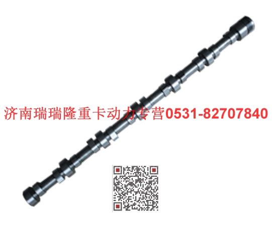61500050096,凸轮轴,济南瑞隆工贸重卡动力专营