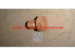 612600110961,六角头螺栓,济南瑞隆工贸重卡动力专营