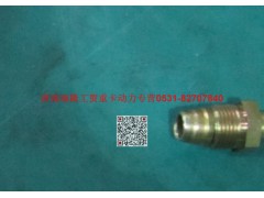 90003559513,管接头螺母,济南瑞隆工贸重卡动力专营