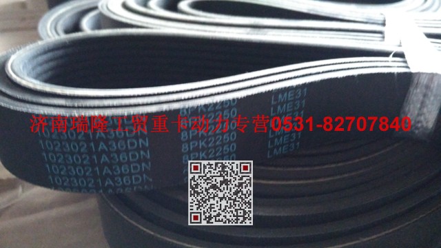 1023021A36DN,多楔带皮带,济南瑞隆工贸重卡动力专营