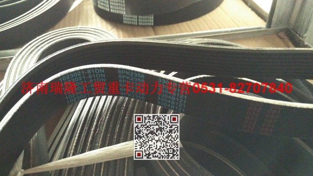 1023021-81DN,多楔带皮带,济南瑞隆工贸重卡动力专营