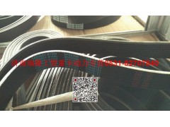 1023021-81DN,多楔带皮带,济南瑞隆工贸重卡动力专营